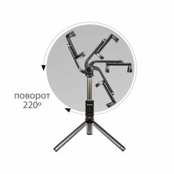 Трипод Dispho WS-18002 Selfie Stick Tripod Bluetooth Black